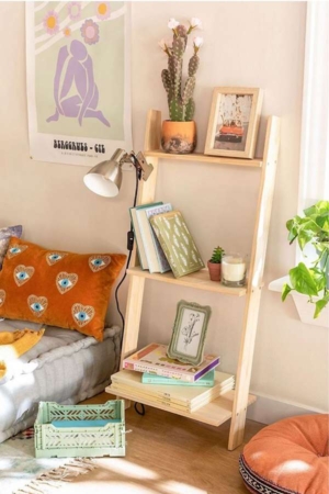 The Little Ladder Shelf