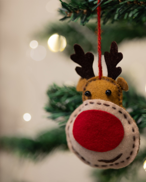 Rudolf the Reindeer Tree Ornaments (set of 2)