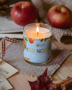 Spiced Nostalgia Glass Jar Candles
