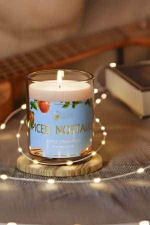 Spiced Nostalgia Glass Jar Candles